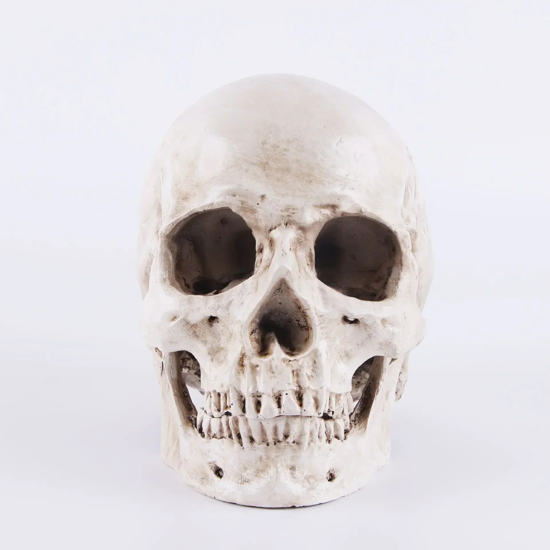 Tête de Mort Réaliste